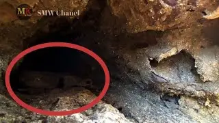 This wood has a mysterious hole || sawmill