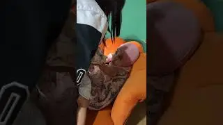 lagi tidur siang dibangunin Jasmine 🥰 