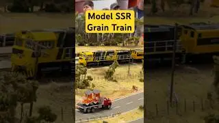 Model SSR Grain Train #shorts #railway #subscribe #model #ssr #train #viral #like #grain #sydney