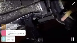 Бухари всю ночь, ШЛЯПАшников, Новые видео