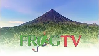 Our Costa Rica Travel Channel: Frog TV