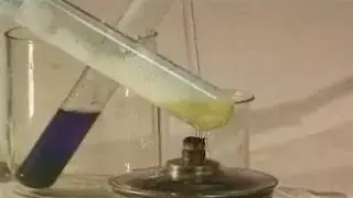 Experiments in chemistry. Color reactions of the protein: biuret; xanthoprotein