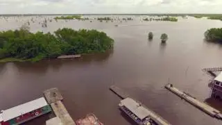 The Levee & McGee's Landing
