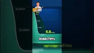 Удивительные факты 