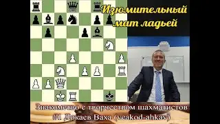 Изюмительный мат ладьей в 18 ходов. Докаев Ваха