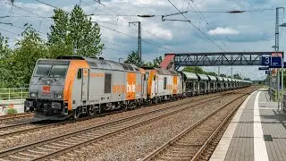 Sichtungen aus Saarmund vom 25.07.2020