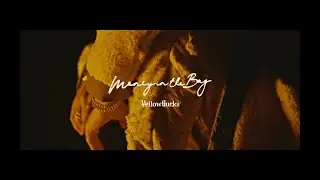 ¥ellow Bucks - Money in the Bag [Official Video]