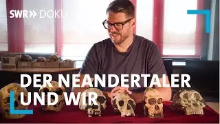 Der Neandertaler und wir - Feind oder Verwandter? | SWR Doku