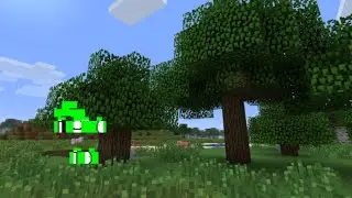 minecraft speedruns be like