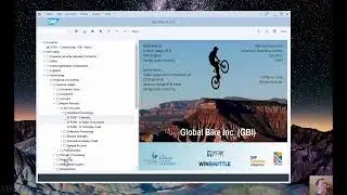 SAP - Add GL Account (FS00)