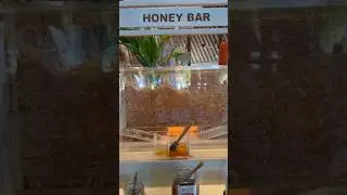42. First morning in the Maldives. Honey paradise.