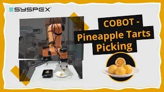 Cobot - Pineapple Tarts Picking