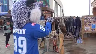 Breaking News! Снежный Барс расхаживает по Алматы!