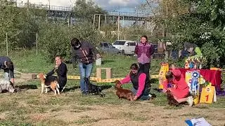 Бэтмен на выставке CAC #3