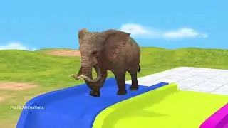 Long Slide Game With Elephant Gorilla Buffalo Hippopotamus Tiger 3d Animal Game Funny 3d Animals
