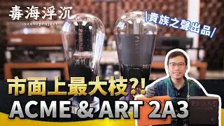 [毒海浮沉] 市面上最大枝的2A3｜兩聲道｜2024-10-31