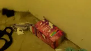Random Video 4
