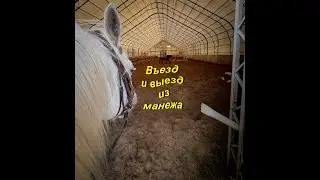 Как правильно и безопасно зайти и выйти из МАНЕЖА?