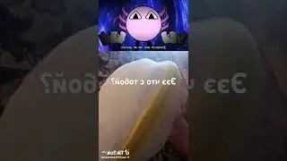 8 июля 2024 г.