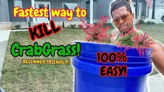 Kill CRABGRASS EASY!