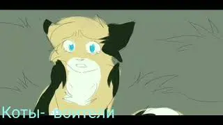 Клип коты-воители