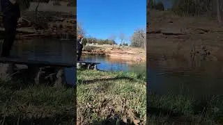 Bluegill and a Flyrod 