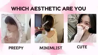 Which Aesthetic Are You? Preepy, Shy, or Cute 🌸🧸 || Fun Personality Quiz!