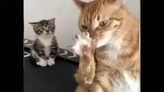 восхищение