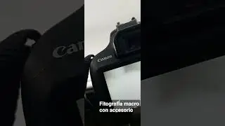 #fotografiamacro