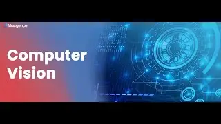 Computer Vision Explained: How Machines See the World