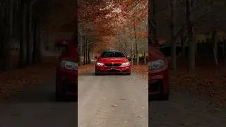 BMW Wallpapers (Car Photography)