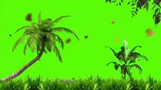 Green Screen Video Green Screen Effect Green Screen New Wedding Green Screen Video