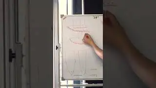 Клуб Заточных Стендапов. "В заточке самое важное - ТЕРМИНОЛОГИЯ!" Ссылка в описании #заточканожа