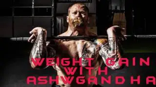 वजन बढ़ाने का सबसे अच्छा साधन है अश्वगंधा Weight gain with Indian Ginseng