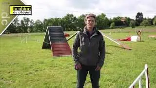 Comment éduquer son chien en bougeant ? (partie 1: l'agility)