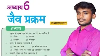 जैव प्रक्रम अभ्यास प्रश्न उत्तर | Class 10th Lesson 6 Question Answer