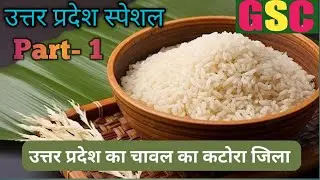 उत्तर प्रदेश में धान का कटोरा कहा जाने वाला जिला || चावल का कटोरा #rice #चावल #paddy #up #Riceofboul