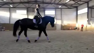 Ada i Albatros - trening ujeżdżeniowy, 22.11.2015