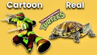 Teenage Mutant Ninja Turtles character In Real Life 💥