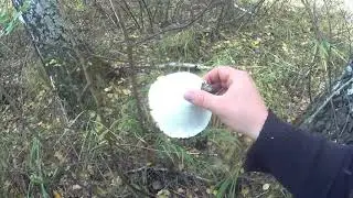 уаз утка спиннинг поле