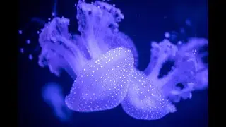 Photo in the dark (Part 1) - 照片雜訊處理 (相機篇)