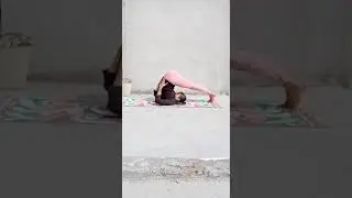YOGA -PART-3।योग हमारे शारीरिक और मानसिक दोनों क्षमता का विकास#shorts#योग करे निरोग रहे। SRN SEVEN 7