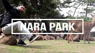 NARA PARK