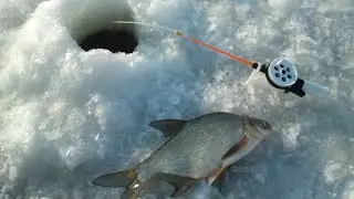 Зимняя  РЫБАЛКА НА ТАВАТУЕ