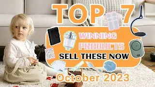 Wefulfil Top Winning Products