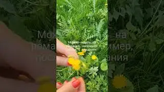 #таро для нетарологов https://t.me/natabondbaxmet2/1594
