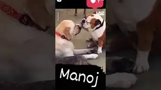 😛😛😛🤣🤣🤣🤣😂😂😂