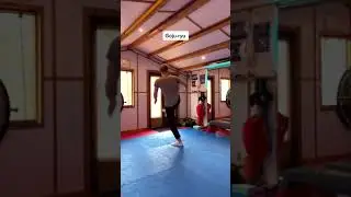 Different Styles of Karate 