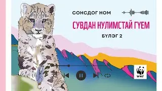 Сувдан нулимстай гүем 2