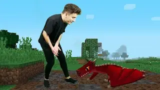 Minecraft'ta YAVRU EJDERHA buldum!